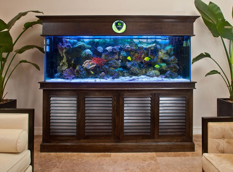 Pet2Go Fish Tank